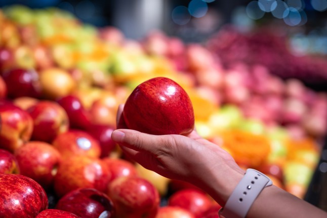 Apples with a woman's hand holding one