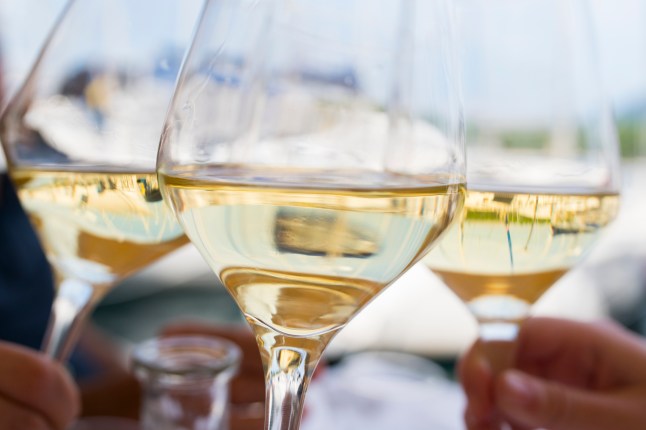 People holding up glasses of white wine