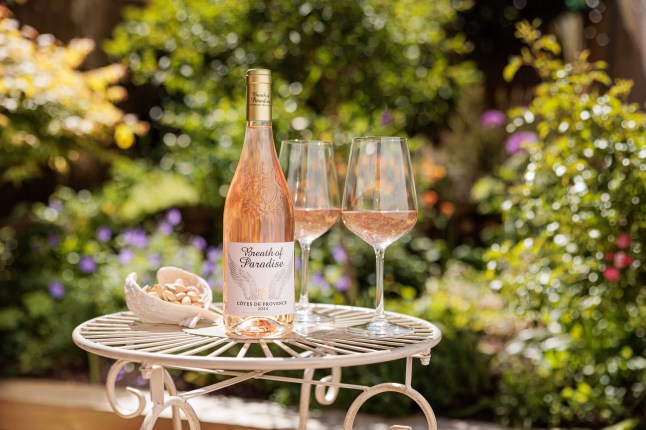 A bottle of Lidl's Breath of Fresh Air wine and wine glasses on a table outside in a garden